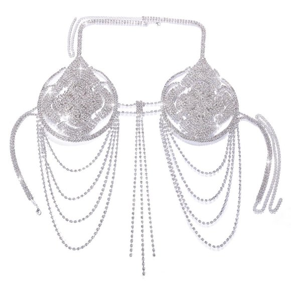 Silver Crystal Chain Showgirl Bra - Picture 4 of 5
